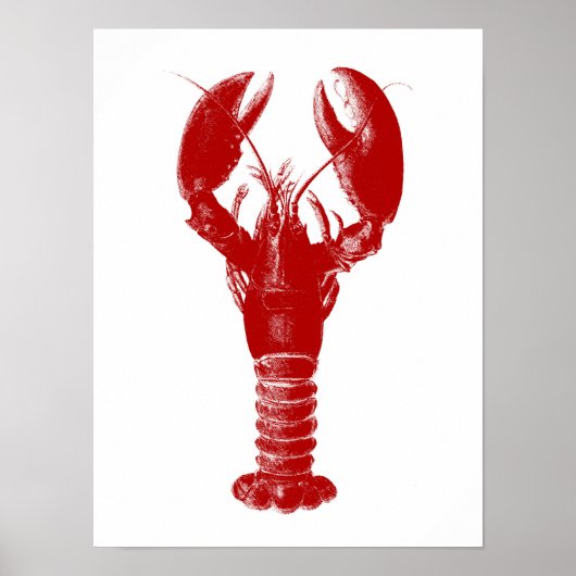 Deep Red Lobster op White Poster (Voorkant)