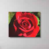 Deep Red Rose Canvas Afdruk (Voorkant)