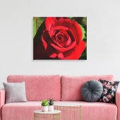 Deep Red Rose Canvas Afdruk (Insitu (Woonkamer))