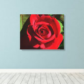 Deep Red Rose Canvas Afdruk (Insitu (Houten vloer))