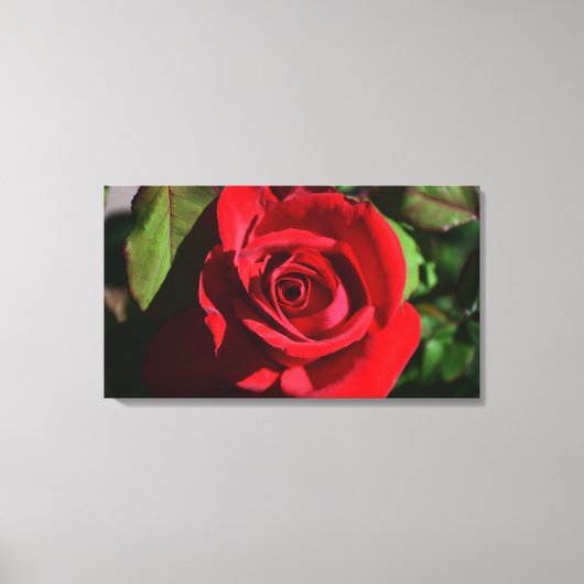 Deep Red Rose Canvas Afdruk (Voorkant)