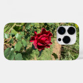 Deep Red Rose iPhone 14 Pro Hoesje (Achterkant (horizontaal))