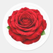 Deep Red Rose Round Envelope Seal Sticker (Voorkant)