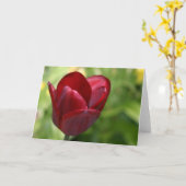 Deep Red Tulip Kaart (Gele Bloem)