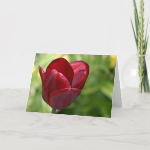 Deep Red Tulip Kaart