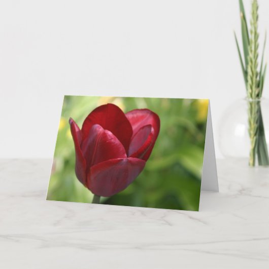 Deep Red Tulip Kaart (Voorkant)