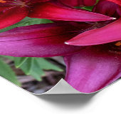 Deep Reds Poster (Hoek)