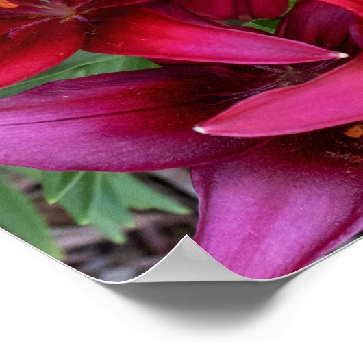 Deep Reds Poster (Hoek)