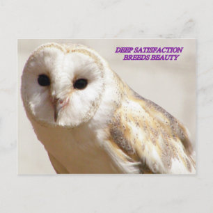 DEEP SATISFACTION BREEDT BEAUTY BRIEFKAART