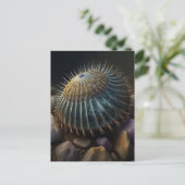 Deep Sea Urchin Briefkaart (Staand voorkant)