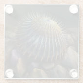 Deep Sea Urchin Glazen Onderzetter (Achterkant)