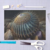 Deep Sea Urchin Tissuepapier (Craft)