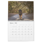 Deep South Leonberger Kalender (Feb 2026)