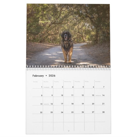 Deep South Leonberger Kalender (Feb 2026)