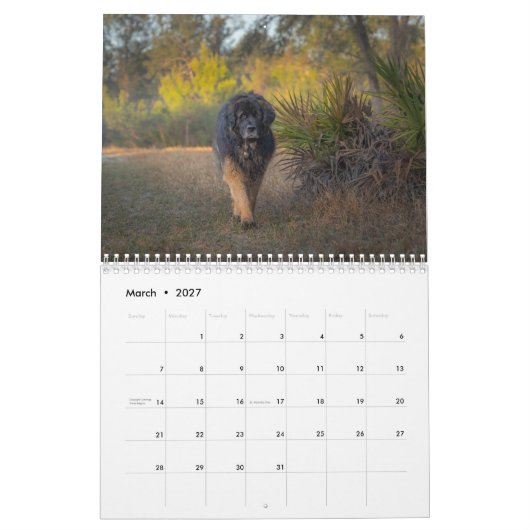 Deep South Leonberger Kalender (Mar 2027)