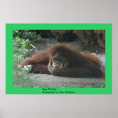 Deep Thinker Poster (Voorkant)