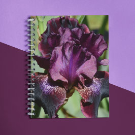 Deep Violet Iris Bloom Floral Notitieboek