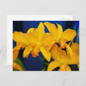 Deep Yellow Orchids Briefkaart (Voorkant / Achterkant)