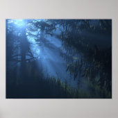 Deep'Blue Forest Poster (Voorkant)