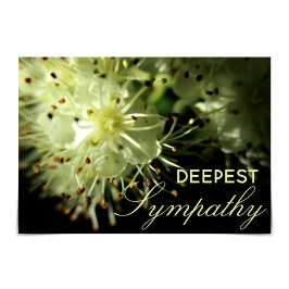 "Deepest Sympathie" White Floral card Kaart