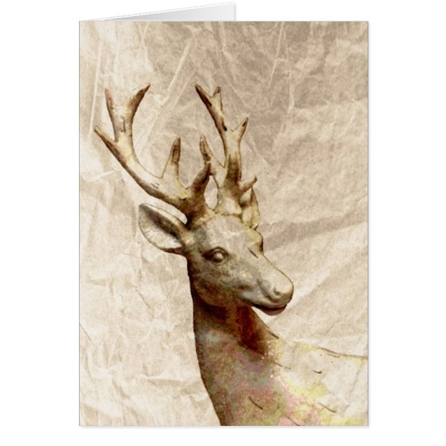 Deer (Voorkant)