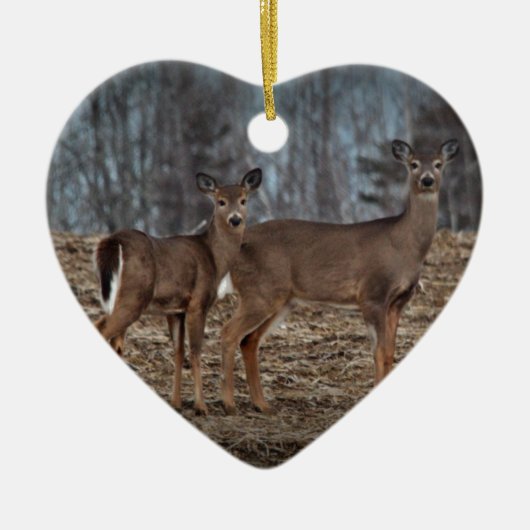 Deer_0337v Keramisch Ornament (Voorkant)