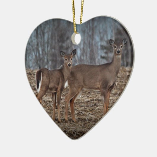 Deer_0337v Keramisch Ornament (Links)