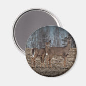 Deer_0337v Magneet (Voorkant / Achterkant)