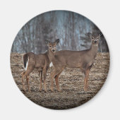 Deer_0337v Magneet (Voorkant)