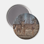 Deer_0338v Magneet (Voorkant / Achterkant)