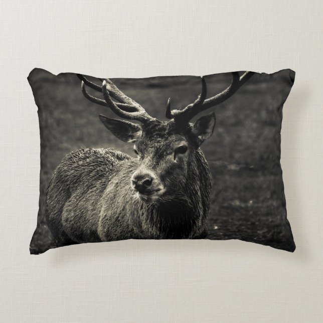 DEER 12-PUNT BUCK ACCENT KUSSEN (Voorkant)