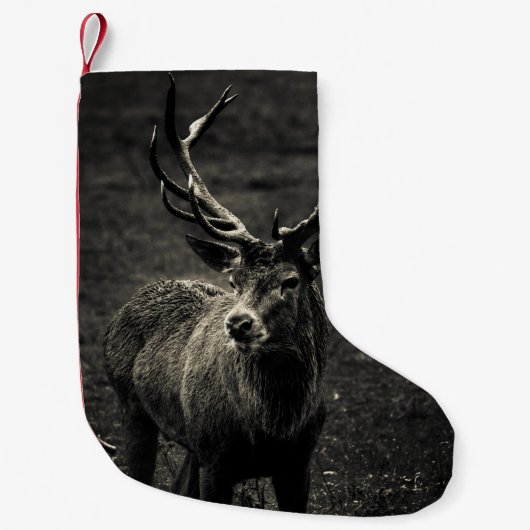 DEER 12-PUNT BUCK KLEINE KERSTSOK (Voorkant)