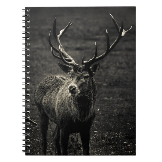 DEER 12-PUNT BUCK NOTITIEBOEK (Voorkant)