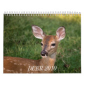 DEER 2010 KALENDER (Hoes)