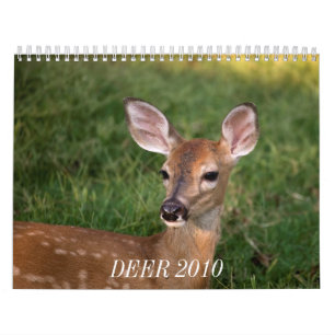 DEER 2010 KALENDER