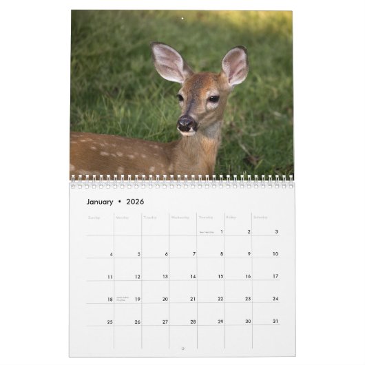 DEER 2010 KALENDER (Jan 2026)
