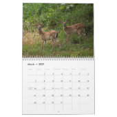 DEER 2010 KALENDER (Mar 2027)
