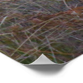 Deer 3... je sluit me aan. poster (Hoek)