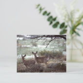 Deer actief briefkaart (Staand voorkant)