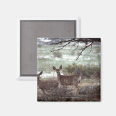 Deer actief magneet (Voorkant / Achterkant)