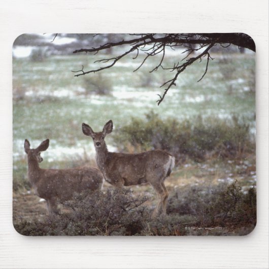 Deer actief muismat (Voorkant)