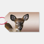 Deer and Frosty Hills Pack of Gift Labels Cadeaulabel (Achterkant Horizontaal)