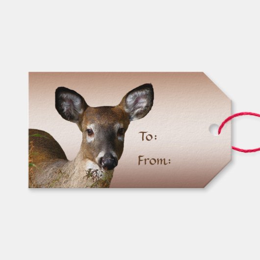 Deer and Frosty Hills Pack of Gift Labels Cadeaulabel (Voorkant (Horizontaal))