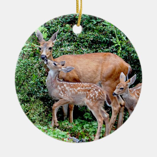 Deer and Twin Fawns Animal Family Keramisch Ornament (Voorkant)