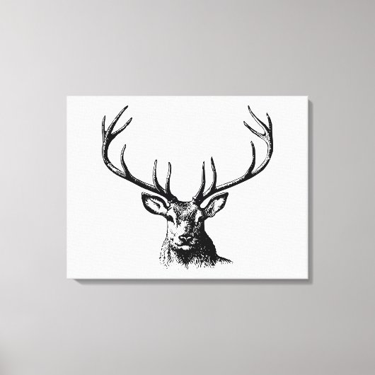 Deer Animal Antlers Natuur Wildlife Horns Head Pos Canvas Afdruk (Voorkant)