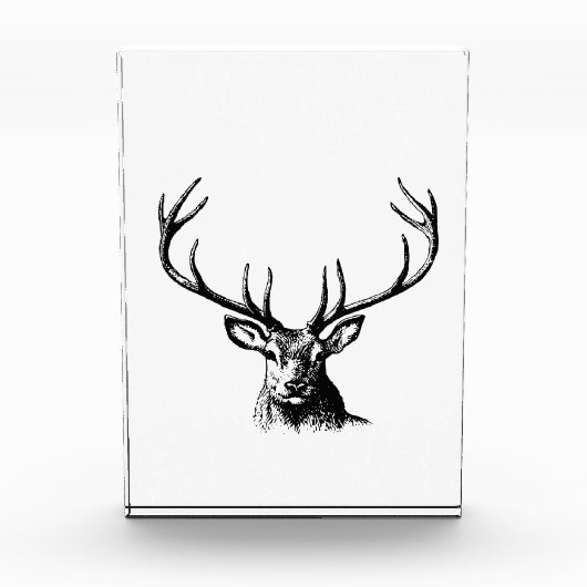 Deer Animal Antlers Natuur Wildlife Horns Head Pos Fotoblokken (Voorkant)