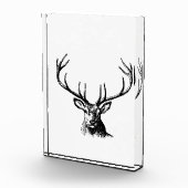 Deer Animal Antlers Natuur Wildlife Horns Head Pos Fotoblokken (Rechts)