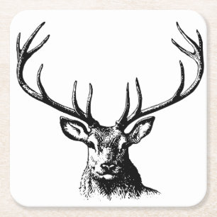 Deer Animal Antlers Natuur Wildlife Horns Head Pos Kartonnen Onderzetters