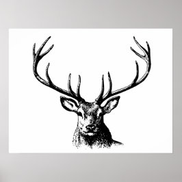 Deer Animal Antlers Natuur Wildlife Horns Head Pos Poster