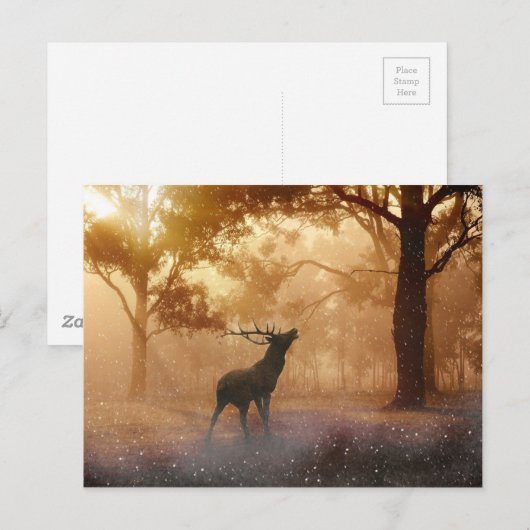 Deer Antler Meadow Briefkaart (Voorkant / Achterkant)